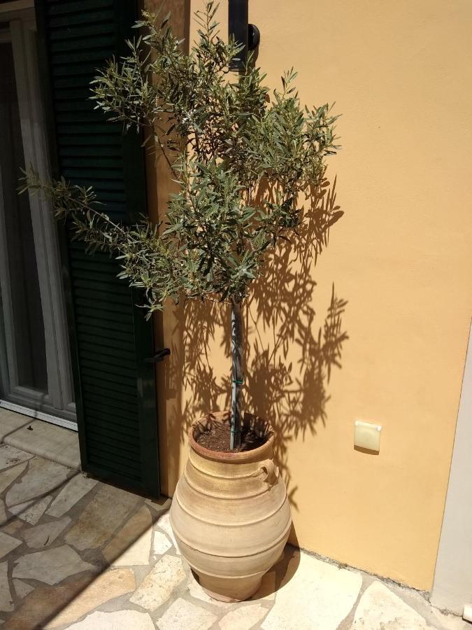 Eirini's House Apartment *